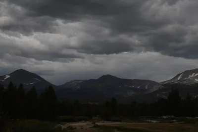 DSC_4429 (Large).JPG